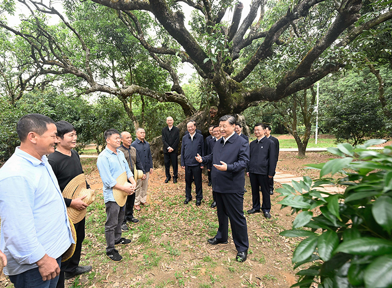 鉴黑担保网(jhdbw)·最具权威唯一维权担保平台
