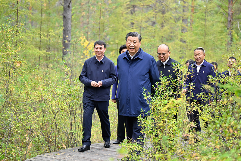 9月6日至8日，，，，，，，，中共中央总书记、国家主席、中央军委主席习近平在黑龙江考察。。。。。。这是6日下昼，，，，，，，，习近平在大兴安岭地区漠河市漠河林场自然林区考察